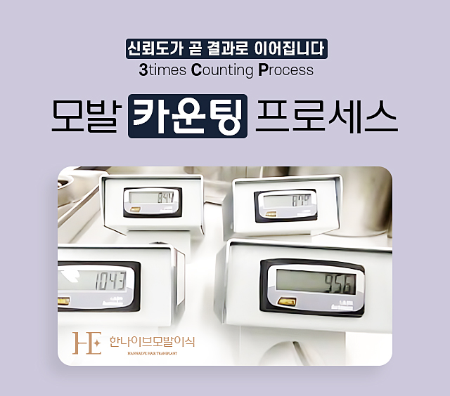 모발카운팅프로세스